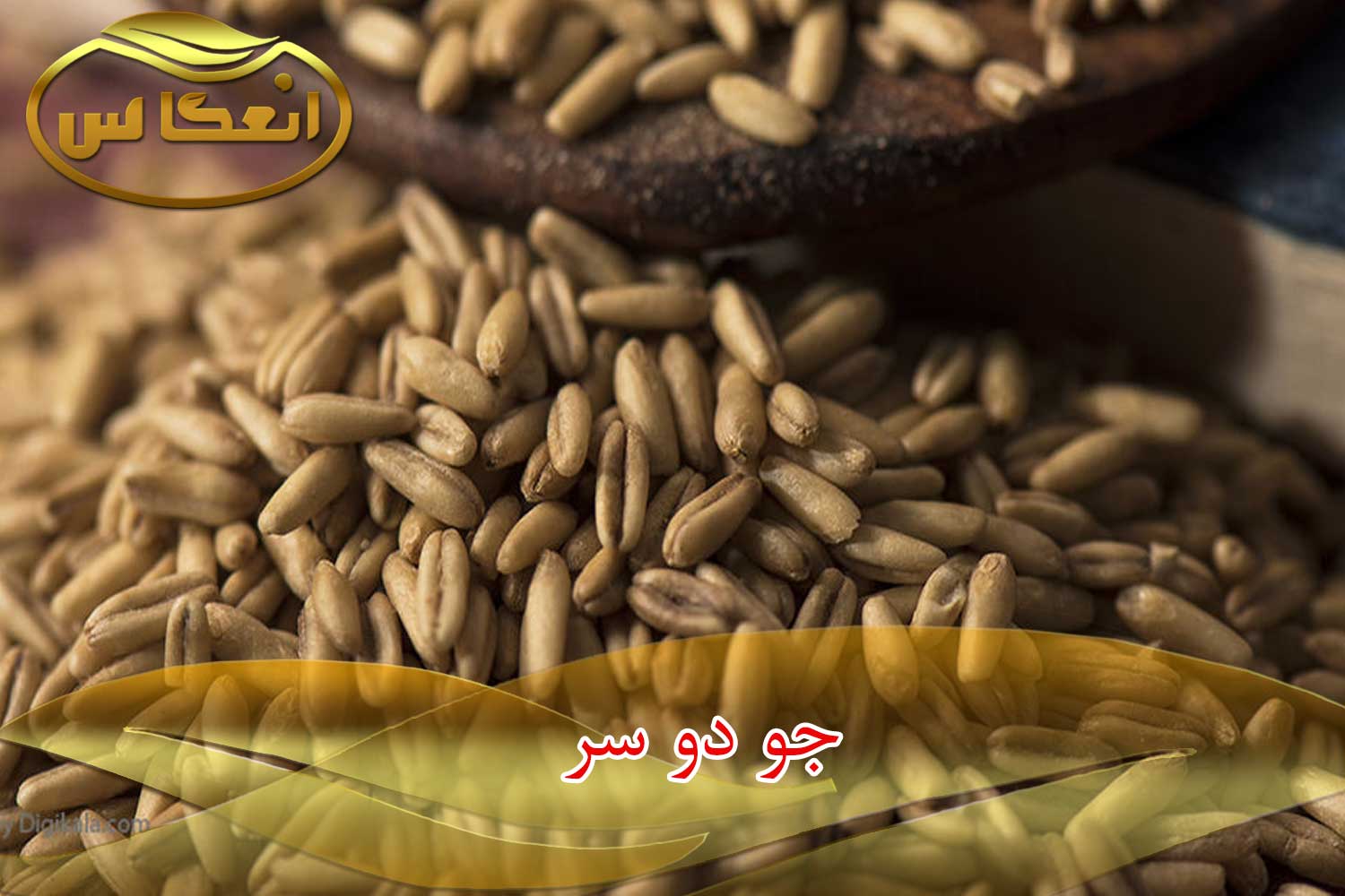 جو دوسر