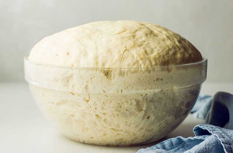 خمیرمایه انعکاس