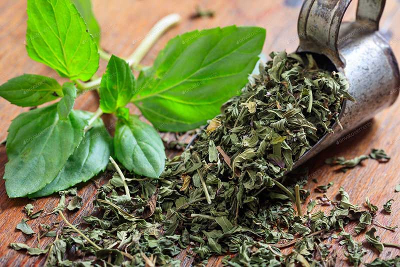 سبزی نعناع خشک شده