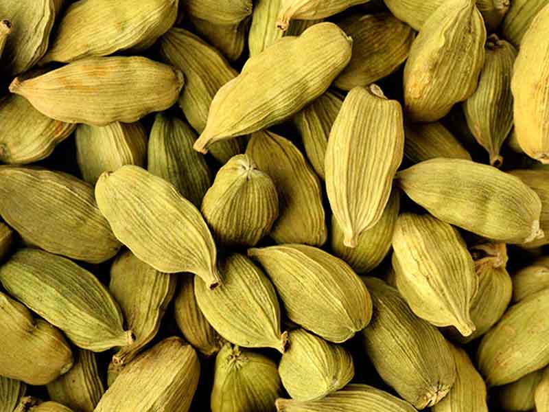 ادویه هل | معرفی تنظیم کننده های فشار خون