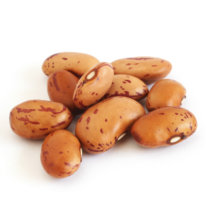 معرفی لوبیا چیتی