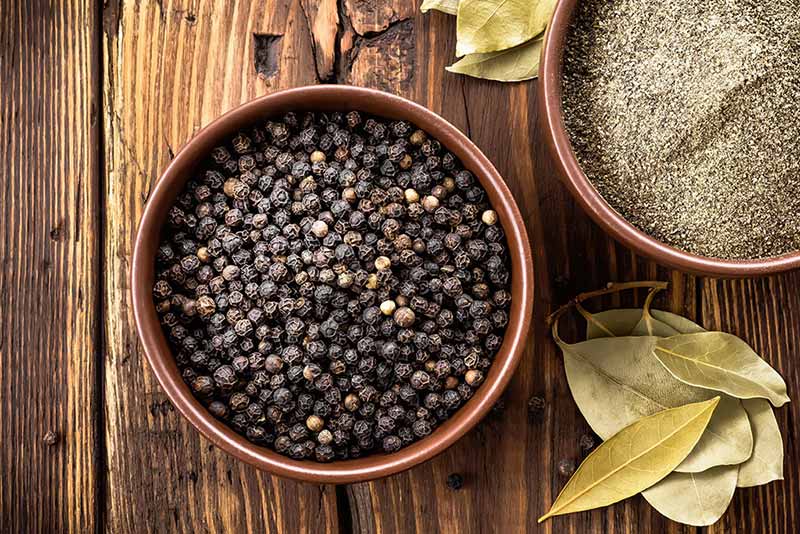 تفاوت فلفل سیاه و فلفل سفید در چیست؟