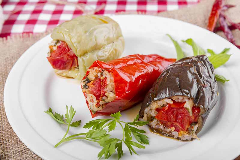 دستور پخت دلمه گیاهی و دلمه غیر گیاهی