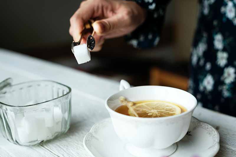 راهنمای خرید قند تک نفره
