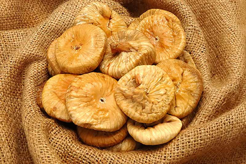 7 خواص انجیر خشک