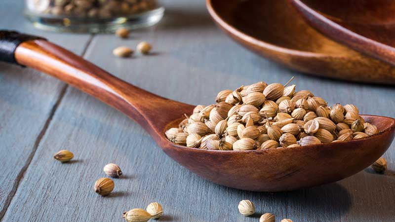 خواص تخم گشنیز